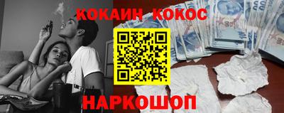 apvp Гатчина