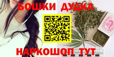 apvp Гатчина