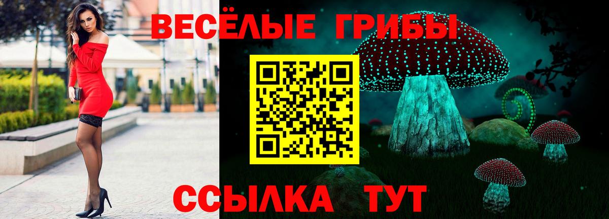 Галлюциногенные грибы ЛСД Мичуринск