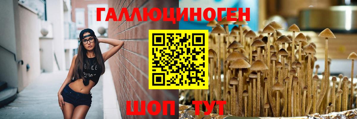 Галлюциногенные грибы Cubensis  Галлюциногенные грибы GOLDEN TEACHER  Вход с VPN  даркнет сайт  Мичуринск 